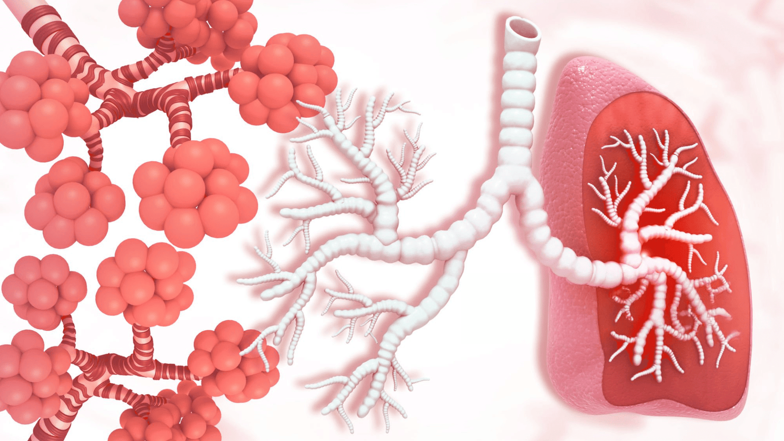 Interstitial Lung Disease (ILD) & Pulmonary Fibrosis